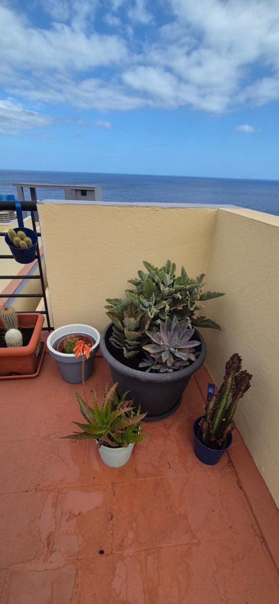 Meerblick Caletillas Candelaria Ngoại thất bức ảnh